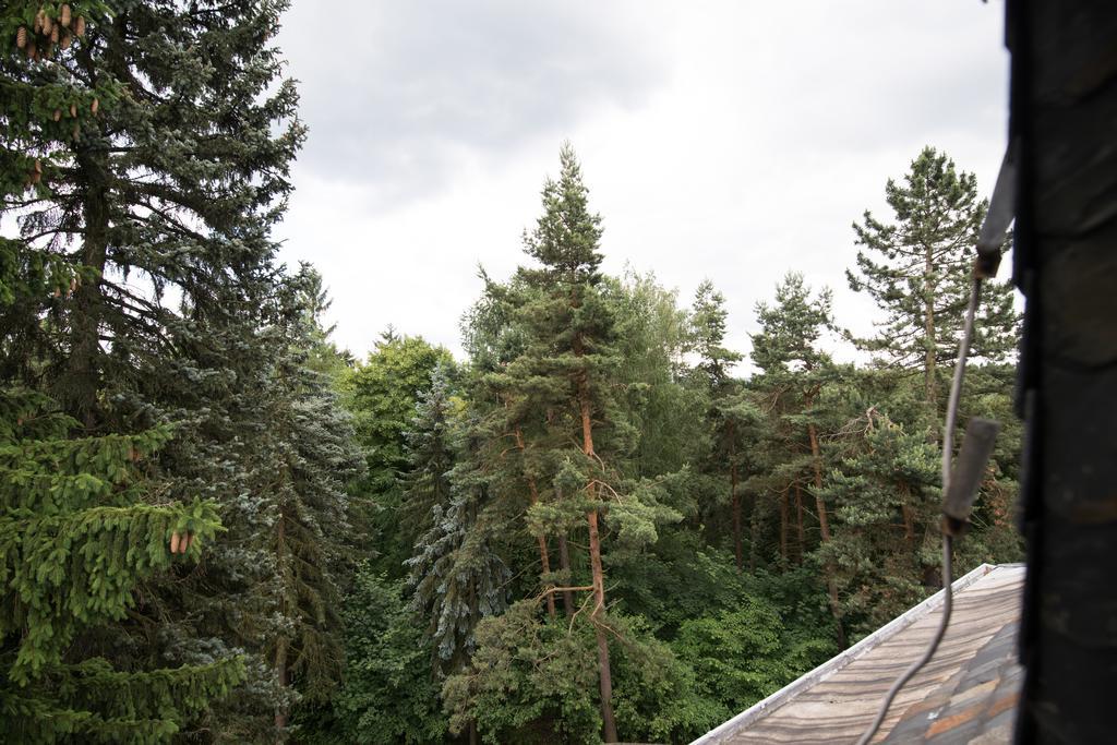 Villa Augustusberg Petrovice  ภายนอก รูปภาพ