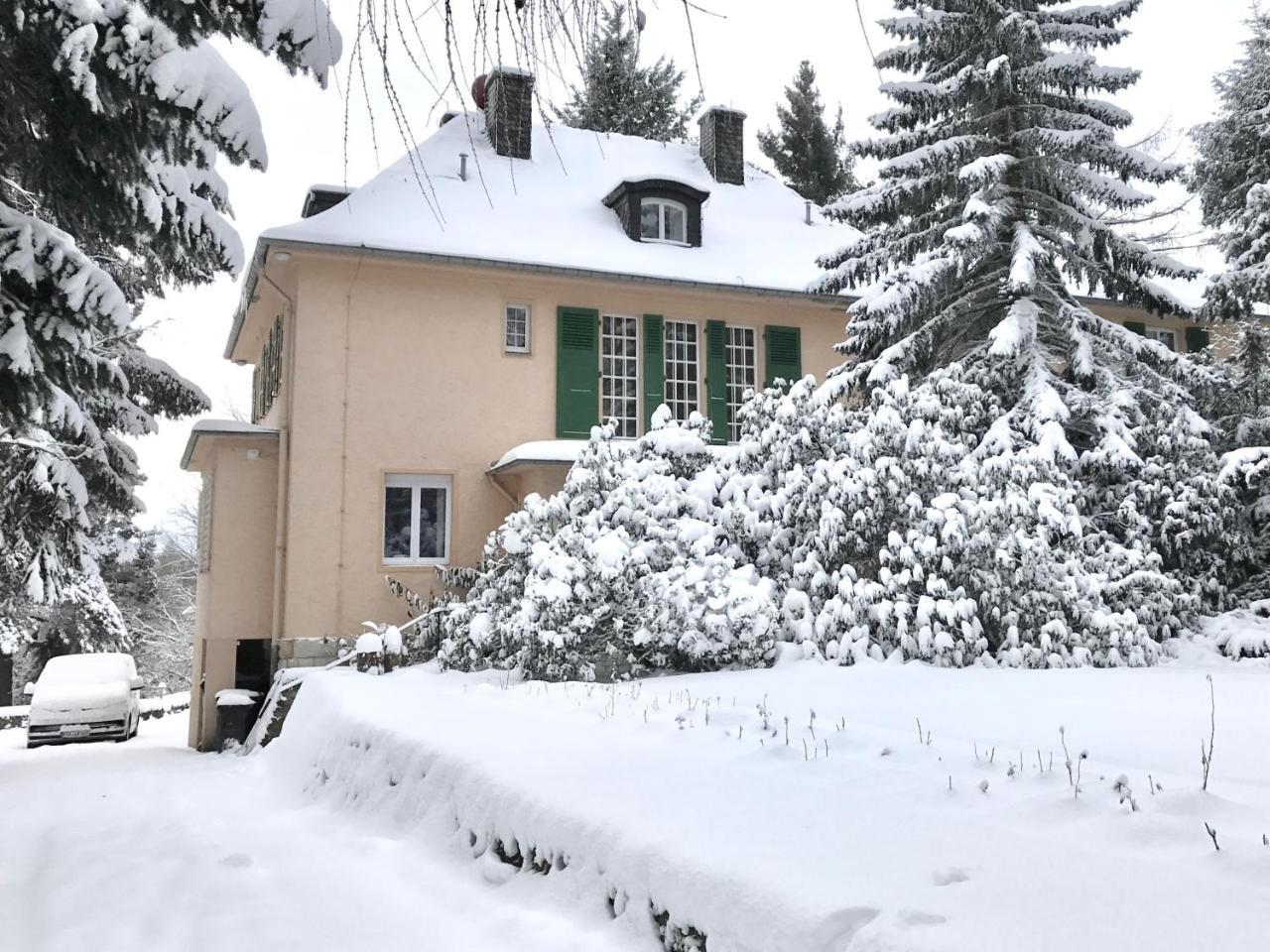 Villa Augustusberg Petrovice  ภายนอก รูปภาพ